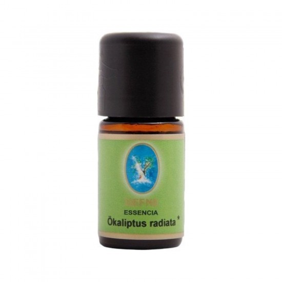 Okaliptus Radiata Yağı - Organik 10 ml